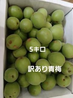 はな様　訳あり　5キロ　徳島神山産　青梅 はな様訳あり5キロ徳島神山産青梅