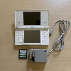 2025年最新】dsi どうぶつの森の人気アイテム - メルカリ