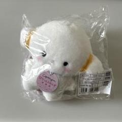 こぎみゅん　ぴたっとふれんず