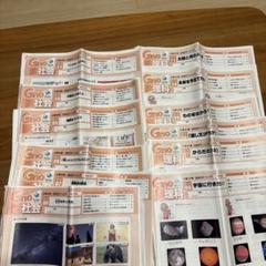 2025年最新】グノーブルの人気アイテム - メルカリ