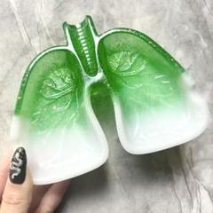 肺皿 | Pay ID