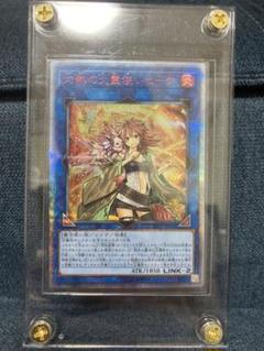 遊戯王 灼熱の火霊使いヒータ るる様専用