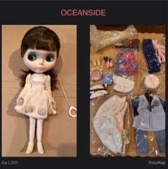 2025年最新】カスタムブライス 本体の人気アイテム - メルカリ