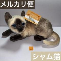 金曜まで赤字特価　日本製　アビシニアン　猫　ぬいぐるみ　メルカリのみ出品 614golSJWnL._UF350,350_QL50_.jpg