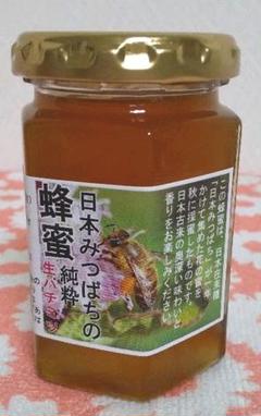 日本みつばちの純粋生蜂蜜(生ハチミツ)170g入り✖️1本