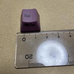 Realforce R3 日本語 ダークモーブ Esc　エスケープ