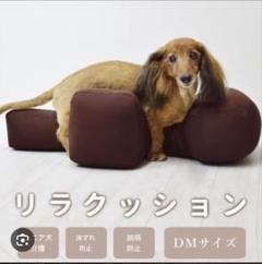 リラックッション DMサイズ