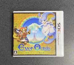 3DS Ever Oasis 精霊とタネビトの蜃気楼 エヴァーオアシス 3ds