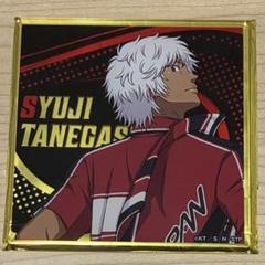 新テニスの王子様Cheer for the Prince　種ヶ島修二　チアプリ
