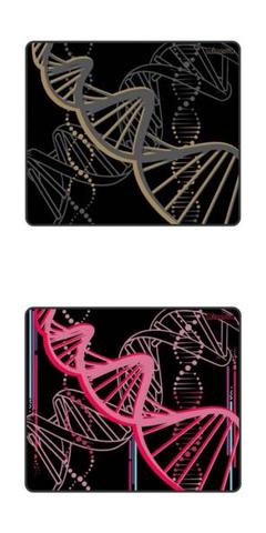X-raypad Minerva DNA Gold/Pink 2枚セット