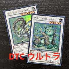 遊戯王 ナチュルパルキオン 英語 DT ウルトラ 2枚セット Amazon.co.jp: 遊戯王カード TRC1-JP032 ナチュル・パルキオン