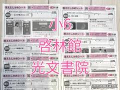 小6 小学6年生 6年 理科 啓林館 光分書院 カラーテスト10枚 小6 理科 テスト カラーテスト 解答 啓林館 光文書院 8枚 6年