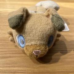 ポケモン 洗えるぬいぐるみ イワンコ Amazon.co.jp: ポケットモンスター ポケモン くたくたたった