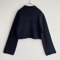 グレイル フレアスリーブ ショート丈 ニット トップス S プルオーバー 長袖