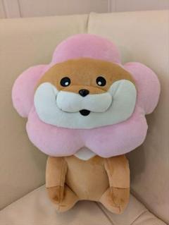 【新品タグ付】可愛い嘘のカワウソ かぶるんだぬんおすわりBIGぬいぐるみ　お花