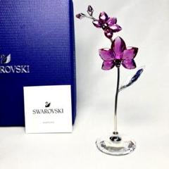 廃盤　美品　SWAROVSKI　オーキッド　ブロッサム　胡蝶蘭　クリスタル スワロフスキー Swarovski Flower Dreams 蘭 オーキッド - メルカリ