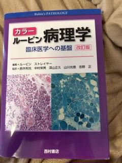 2025年最新】病理 ルービンの人気アイテム - メルカリ