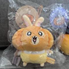 ゆり　カボチャなうさぎ ちいかわグッズ公式 on X: 