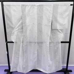 【日本限定モデル】 ☆2812☆ ポリエステル 小紋 夏着物 透け感 灰白色 ストライプ柄 着物・浴衣