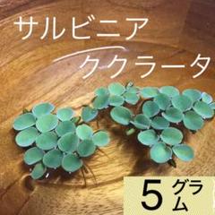 植物育成ライト 屋外の中古 未使用品を探そう メルカリ 植物育成ライト 屋外の中古 未使用品を探そう メルカリ