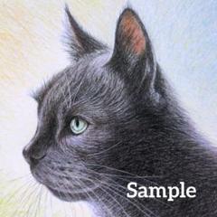 色鉛筆画(13.5×19cm)「キリッ！…とニャ♪」猫♡