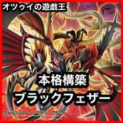 本格構築 ブラックフェザーデッキ BFデッキ サルンガ シムーン
