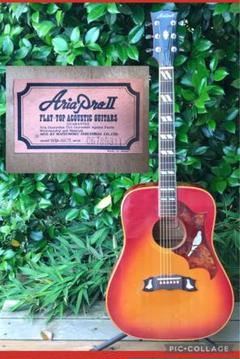 Aria WD-35CH アリア ダヴ チェリー Aria WD-35CH アリア ダヴ チェリー - メルカリ