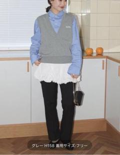 SLOBE IENA（スローブイエナ）の「《WEB限定/追加》ニットジレ