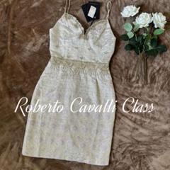 新品 Roberto Cavalli ドレス ワンピース 膝丈 刺繍 穴あり