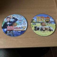 ポケモン & アニア DVD 2枚セット
