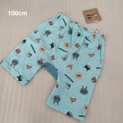 【新品未使用】アンパンマン 半ズボン 100cm