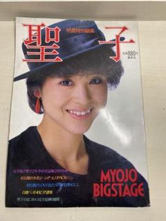 昭和57年 明星特別編集 松田聖子B4写真集～折込ポスター 全記録