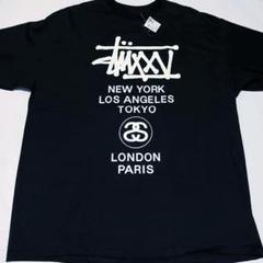 2005年　Stussy 25周年限定ワールドツアーTシャ　ステューシー