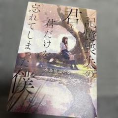 記憶喪失の君と、君だけを忘れてしまった僕。