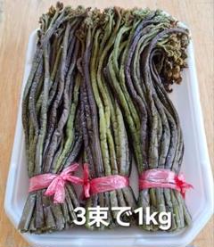 山形県産わらび塩漬け10kg 天然山菜 わらびの塩漬け/1Kg 自然の恵み 予約販売 山形県飯豊