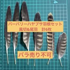 猛禽、野鳥の羽根「大鷹の風切羽根　14枚セット 野鳥 鳥 羽根 オオタカの羽根 - メルカリ