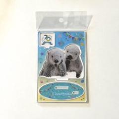 鳥羽水族館 70周年 ラッコ メイキラ アクリルスタンド - メルカリ