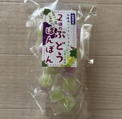 2025年最新】2種のぶどうぼんぼんの人気アイテム - メルカリ