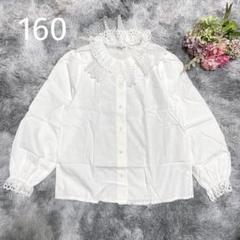 【コルト】ブラウス 白 ビックカラー レース 長袖 子供服 綿100% 160