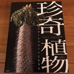 珍奇植物 ビザールプランツと生きるの中古 未使用品を探そう メルカリ 珍奇植物 ビザールプランツと生きるの中古 未使用品を探そう メルカリ