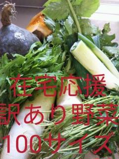 在宅応援 お得用 訳あり野菜ドッサリ 詰め合わせ100サイズ