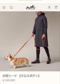 HERMES 犬用リード　クロスボディ　エルメス カラーがオシャレ♪】 HERMES 犬用リード《クロスボディ