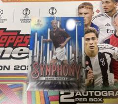 topps finest DENNIS BERGKAMP 150シリ