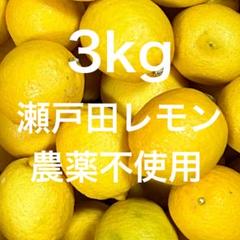 魔人ぶぅ　　　瀬戸田レモン 宝酒造 寶クラフトチューハイ 産地の恵み瀬戸田レモン 広島県産