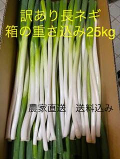 長ネギの中古 未使用品 メルカリ