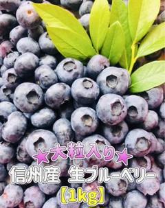 2025年最新】無農薬ブルーベリーの人気アイテム - メルカリ