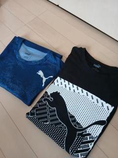 メンズ　Tシャツ　セット　トレーニング　プーマ