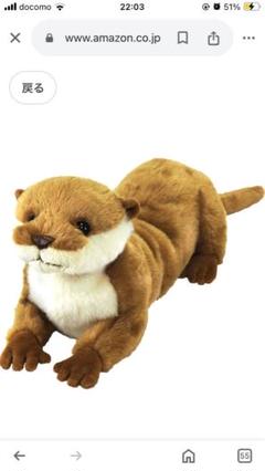 サンレモン カワウソ ぬいぐるみ 2025年最新】サンレモン カワウソの人気アイテム - メルカリ