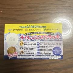 高鷲スノーパーク　前売り1日券　2枚セット Dynaland 高鷲スノーパーク リフト券 2枚新しい