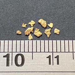 2025年最新】砂金 北海道の人気アイテム - メルカリ